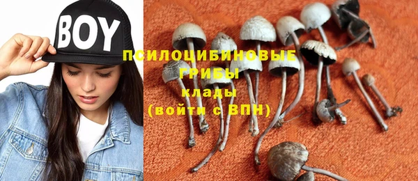 бутират Алексин