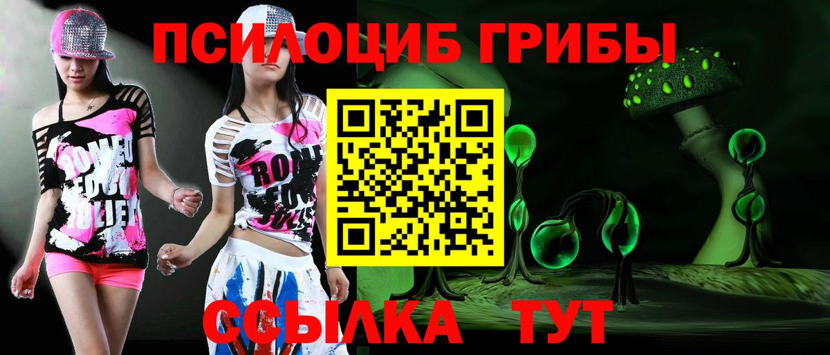 Светлоград  Галлюциногенные грибы Psilocybe  Вход с VPN  Галлюциногенные грибы прущие грибы 